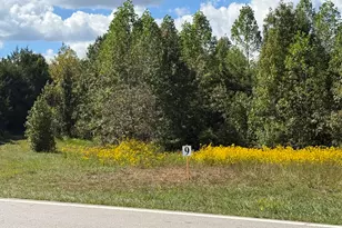 Lot 9 Park Springs Rd, Providence, NC 27315 - Photo 1