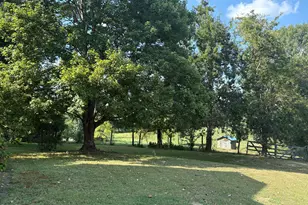 1204 Winfred Brady Rd, Bennett, NC 27208 - Photo 1