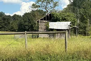 1204 Winfred Brady Rd, Bennett, NC 27208 - Photo 5