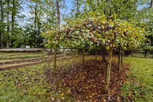 7105 Guess Rd, Hillsborough, NC 27278 - Photo 37