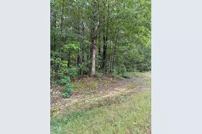 0 Gordon Moore Road, Franklinton, NC 27525 - Photo 3