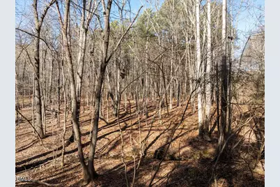 427 Vivaldi Drive, Durham, NC 27712 - Photo 15