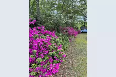 820 Main Street, Lillington, NC 27546 - Photo 29