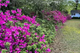 820 Main St, Lillington, NC 27546 - Photo 29