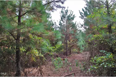 001 Sam Young Road, Oxford, NC 27565 - Photo 15