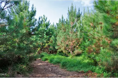 001 Sam Young Road, Oxford, NC 27565 - Photo 17