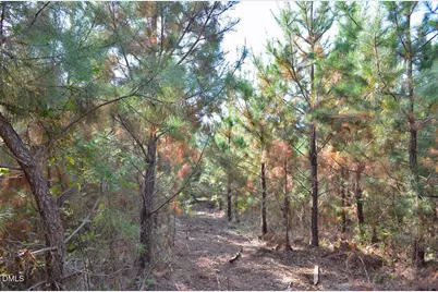 001 Sam Young Road, Oxford, NC 27565 - Photo 19