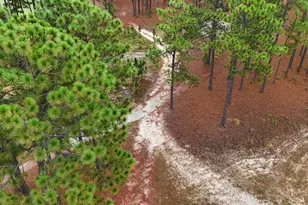 255 Mullingar Dr, Carthage, NC 28327 - Photo 53