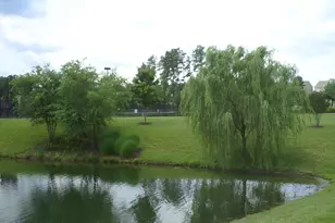 412 Canyon Lake Cir, Morrisville, NC 27560 - Photo 23