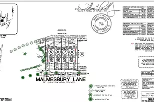 8807 Malmesbury Ln, Wake Forest, NC 27587 - Photo 3