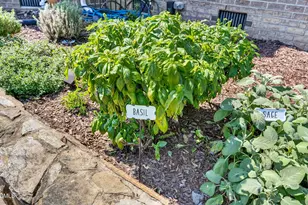 296 Shoreline Dr, Princeton, NC 27569 - Photo 57