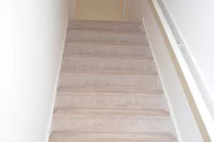 1126 Finch Ct, Apex, NC 27502 - Photo 13