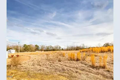 58 Buffalo Lake Road, Sanford, NC 27332 - Photo 23