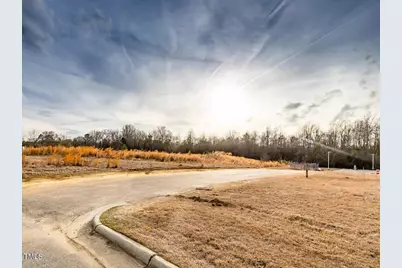 58 Buffalo Lake Road, Sanford, NC 27332 - Photo 9