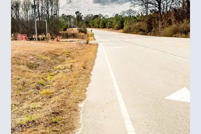 58 Buffalo Lake Road, Sanford, NC 27332 - Photo 7