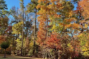 133 Oakmere Dr, Cary, NC 27513 - Photo 53