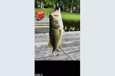 5316 Mill Dam Road, Wake Forest, NC 27587 - Photo 75