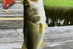 5316 Mill Dam Rd, Wake Forest, NC 27587 - Photo 75