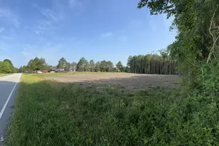 307 Wilson-Fuller Rd, Louisburg, NC 27549 - Photo 1