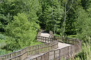 610 Bennett Mountain, Chapel Hill, NC 27516 - Photo 53