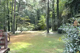 803 Woodland Dr, Siler City, NC 27344 - Photo 19