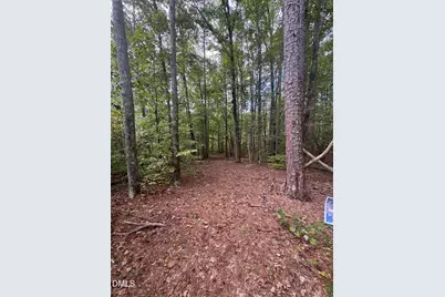 00 New Mayo Drive Drive, Roxboro, NC 27574 - Photo 11