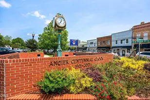 467 Denali Dr, Angier, NC 27501 - Photo 29