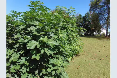 723 Bayberry Court, Nashville, NC 27856 - Photo 61