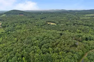 2102 Pleasant Union Rd, Denton, NC 27239 - Photo 41