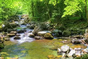 334 Blufftonwood Dr, Pittsboro, NC 27312 - Photo 19