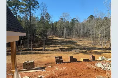 334 Blufftonwood Drive, Pittsboro, NC 27312 - Photo 21