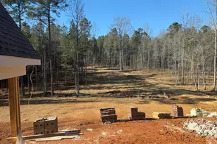 334 Blufftonwood Dr, Pittsboro, NC 27312 - Photo 21