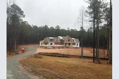 334 Blufftonwood Drive, Pittsboro, NC 27312 - Photo 3