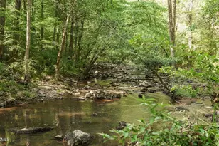 334 Blufftonwood Dr, Pittsboro, NC 27312 - Photo 21