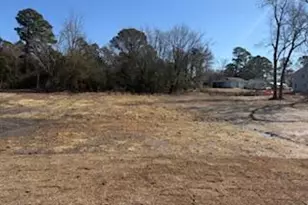 58 Stout Lndg, Dunn, NC 28334 - Photo 5