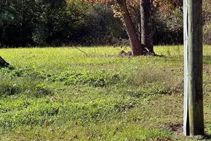 986 N Chavis Rd, Kittrell, NC 27544 - Photo 81