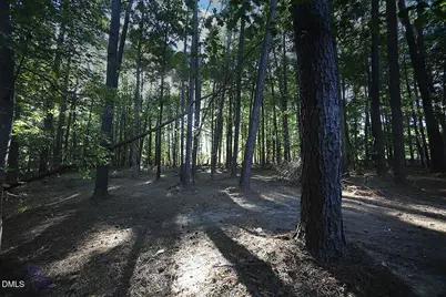 4220 Bay Laurel Court, Wake Forest, NC 27587 - Photo 5