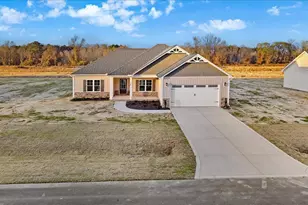 307 Creeks Edge Dr, Pikeville, NC 27863 - Photo 37