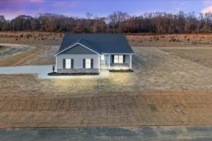 401 Creeks Edge Dr, Pikeville, NC 27863 - Photo 3