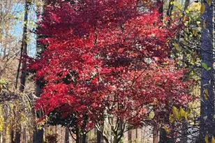 127 Cobblebrook Dr, Rougemont, NC 27572 - Photo 41