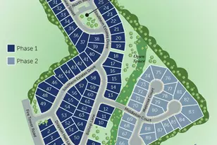 710 Dunlawton Ct, Sanford, NC 27330 - Photo 47