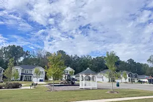 710 Dunlawton Ct, Sanford, NC 27330 - Photo 41