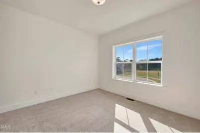 1229 Opal Lane, Durham, NC 27705 - Photo 55