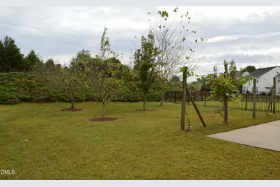 12554 Honeychurch Street, Raleigh, NC 27614 - Photo 39