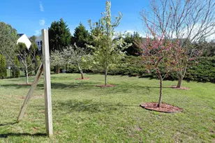 12554 Honeychurch St, Raleigh, NC 27614 - Photo 39