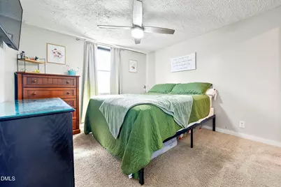 334 Perry Curtis Road, Zebulon, NC 27597 - Photo 27