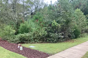 217 Cabin Creek, Pittsboro, NC 27312 - Photo 1