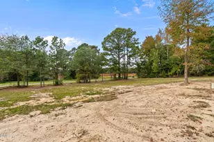 38 Emerald Ln, Broadway, NC 27505 - Photo 31