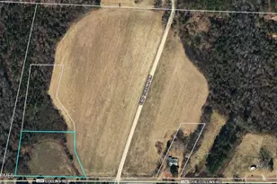 Lot 1 Joe Collins Rd, Lillington, NC 27546 - Photo 1