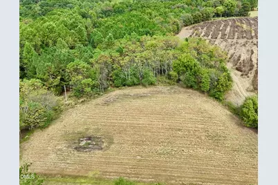 Lot 1 Joe Collins Road, Lillington, NC 27546 - Photo 9